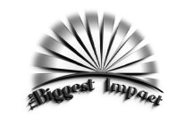 THE BIGGEST IMPACT