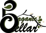 ORGANIC CELLAR