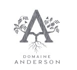 A DOMAINE ANDERSON