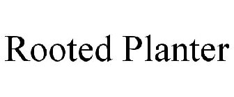 ROOTED PLANTER