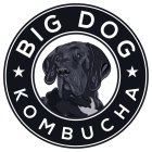 BIG DOG KOMBUCHA
