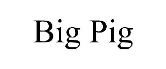 BIG PIG