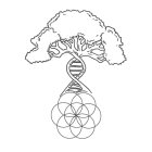 ENVIRONMENTAL EVOLUTION