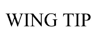 WING TIP