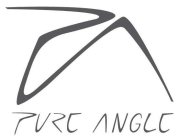 PURE ANGLE