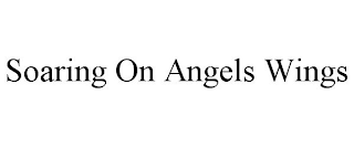 SOARING ON ANGELS WINGS