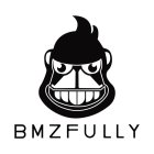 BMZFULLY