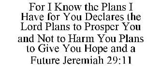 FOR I KNOW THE PLANS I HAVE FOR YOU DECLARES THE LORD PLANS TO PROSPER YOU AND NOT TO HARM YOU PLANS TO GIVE YOU HOPE AND A FUTURE JEREMIAH 29:11