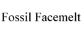 FOSSIL FACEMELT