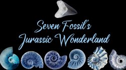 SEVEN FOSSIL'S JURASSIC WONDERLAND