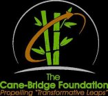 THE CANE-BRIDGE FOUNDATION PROPELLING 
