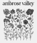 AMBROSE VALLEY