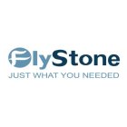 FLYSTONE JUST WHAT YOU NEEDED