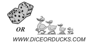 OR WWW.DICEORDUCKS.COM