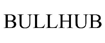 BULLHUB