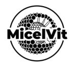 MICELVIT