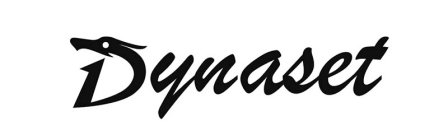 DYNASET