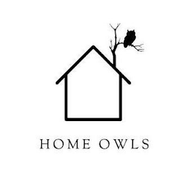 HOME OWLS