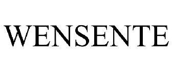 WENSENTE