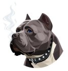 BLUNT BULLIEZ