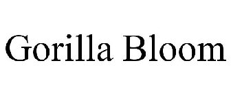 GORILLA BLOOM