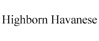 HIGHBORN HAVANESE
