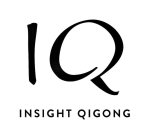 IQ INSIGHT QIGONG