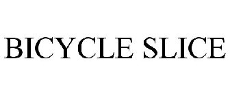 BICYCLE SLICE