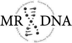 MR DNA AMPLICON SEQUENCING GENOME SEQUENCING RNA SEQUENCING MICROBIOME SEQUENCING