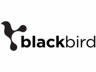 BLACKBIRD