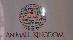 ANIMALL KINGDOM ANIMALL KINGDOM