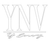 YNV Y ENVY