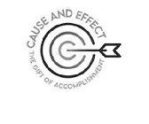 CAUSE AND EFFECT THE GIFT OF ACCOMPLISHMENT