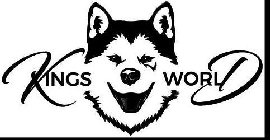 KINGS WORLD