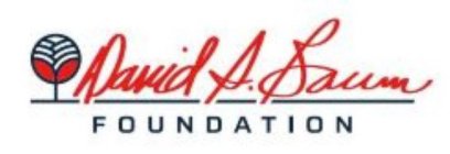 DAVID S. BAUM FOUNDATION