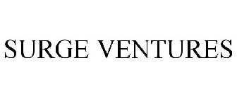 SURGE VENTURES