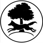 Image Trademark