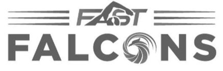 FAST FALCONS