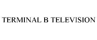TERMINAL B TELEVISION