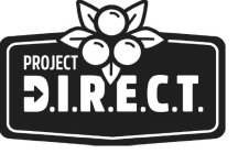 PROJECT DIRECT