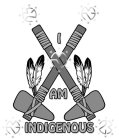 MN MN I AM INDIGENOUS MN MN