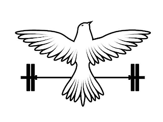 Image Trademark