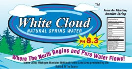 WHITE CLOUD NATURAL SPRING WATER FROM AN ALKALINE, ARTESIAN SPRING PH 8.3 WHERE THE NORTH BEGINS AND PURE WATER FLOWS! WHITE CLOUD MICHIGAN MANISTEE NATIONAL FOREST LAND AREA PROTECTED BY LAW BOTTLED 