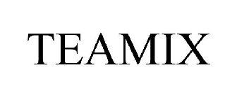 TEAMIX