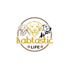 LABTASTIC LIFE