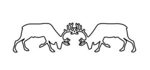 Image Trademark