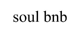 SOUL BNB