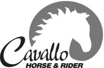 CAVALLO HORSE & RIDER