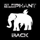 ELEPHANT BACK