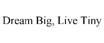 DREAM BIG, LIVE TINY